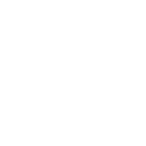 Nancy Fort Escape